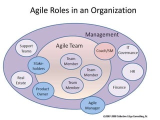 Agile Roles & Responsibilities