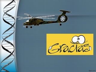 Roles, servicios bienestar, funciones pltaforma.