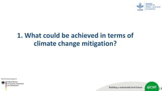 Scaling up soil carbon enhancement contributing to mitigate climate change
