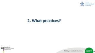 Scaling up soil carbon enhancement contributing to mitigate climate change