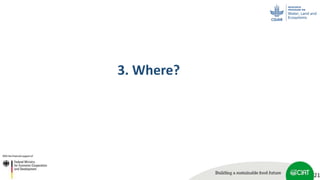 Scaling up soil carbon enhancement contributing to mitigate climate change