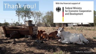 Scaling up soil carbon enhancement contributing to mitigate climate change