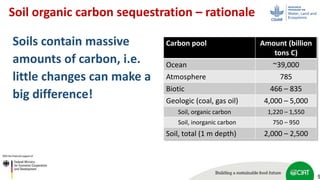 Scaling up soil carbon enhancement contributing to mitigate climate change