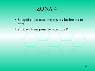 ZONA 4
• Shoqeri e klases se mesme, me kushte me te
mira
• Shumica kane pune ne zonat CBD
19
 