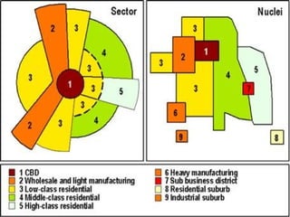 Prof. Carmelo M. Porto 24
 