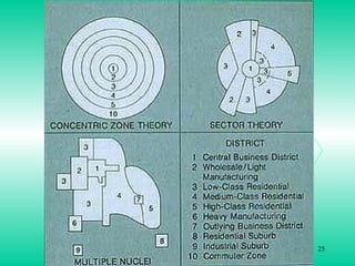 Prof. Carmelo M. Porto 25
 