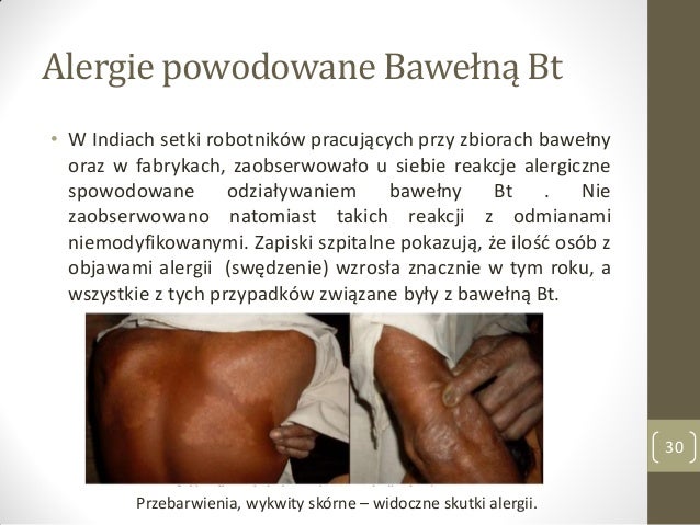 Rośliny transgeniczne GMO  - przykłady modyfikacji slideshare
