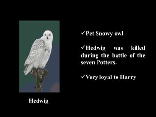 Hedwig
Pet Snowy owl
Hedwig was killed
during the battle of the
seven Potters.
Very loyal to Harry
 