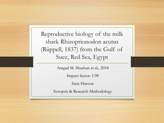 Reproductive biology of the milk
shark Rhizoprionodon acutus
(Rüppell, 1837) from the Gulf of
Suez, Red Sea, Egypt
Amgad M. Shaaban et al., 2018
Impact factor: 1.98
Sana Haroon
Synopsis & Research Methodology
 