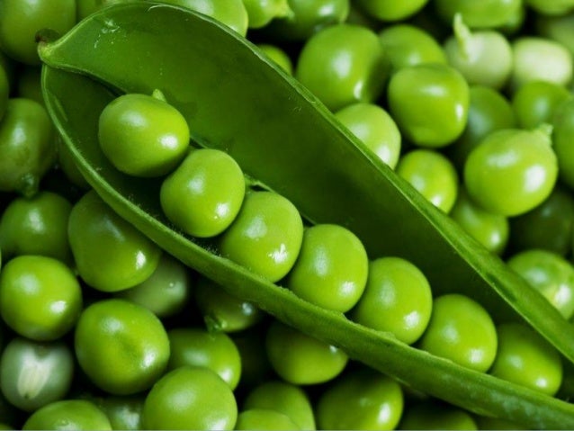 Pea Sized Amount: The Shocking Truth Revealed! - nxwumuu