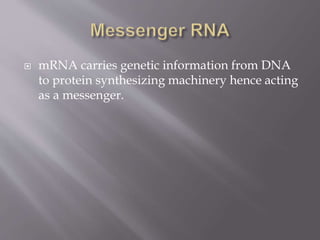  mRNA carries genetic information from DNA
to protein synthesizing machinery hence acting
as a messenger.
 