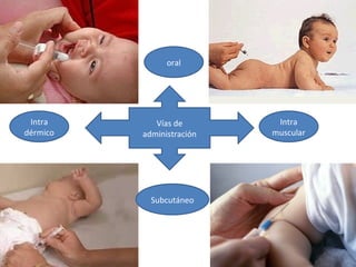 oral




 Intra       Vías de        Intra
dérmico   administración   muscular




            Subcutáneo
 