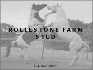 ROLLESTONE FARM STUD Aude BARBEDETTE  