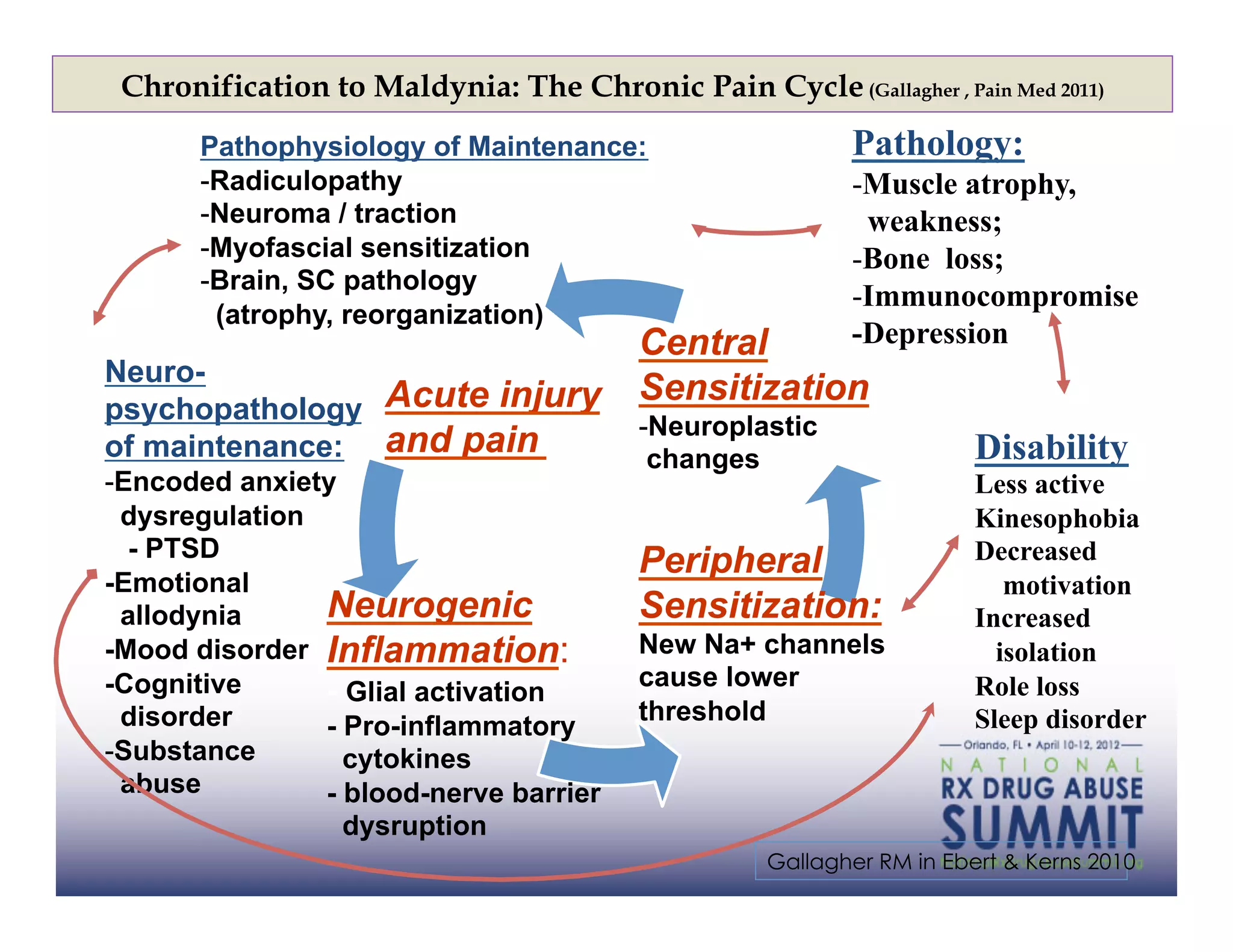 Chronification to Maldynia: The Chronic Pain Cycle (Gallagher , Pain Med 2011)
       Pathophysiology of Maintenance:                     Pathology:
       - Radiculopathy                                     - Muscle atrophy,
       - Neuroma / traction                                  weakness;
       - Myofascial sensitization                          - Bone loss;
       - Brain, SC pathology
                                                           - Immunocompromise
         (atrophy, reorganization)
                                          Central          -Depression
Neuro-
                                          Sensitization
psychopathology Acute injury
                                          - Neuroplastic
of maintenance: and pain                   changes                     Disability
- Encoded anxiety                                                      Less active
  dysregulation                                                        Kinesophobia
   - PTSD                                                              Decreased
                                          Peripheral
-Emotional                                                                motivation
  allodynia     Neurogenic                Sensitization:               Increased
-Mood disorder Inflammation:              New Na+ channels               isolation
-Cognitive                                cause lower                  Role loss
                - Glial activation
  disorder                                threshold                    Sleep disorder
                - Pro-inflammatory
- Substance       cytokines
  abuse         - blood-nerve barrier
                  dysruption
                                                    Gallagher RM in Ebert & Kerns 2010
 