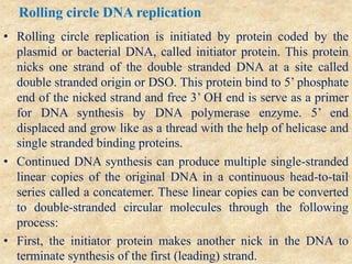 Rolling circle DNA replication
• Rolling circle replication is initiated by protein coded by the
plasmid or bacterial DNA, called initiator protein. This protein
nicks one strand of the double stranded DNA at a site called
double stranded origin or DSO. This protein bind to 5’ phosphate
end of the nicked strand and free 3’ OH end is serve as a primer
for DNA synthesis by DNA polymerase enzyme. 5’ end
displaced and grow like as a thread with the help of helicase and
single stranded binding proteins.
• Continued DNA synthesis can produce multiple single-stranded
linear copies of the original DNA in a continuous head-to-tail
series called a concatemer. These linear copies can be converted
to double-stranded circular molecules through the following
process:
• First, the initiator protein makes another nick in the DNA to
terminate synthesis of the first (leading) strand.
 