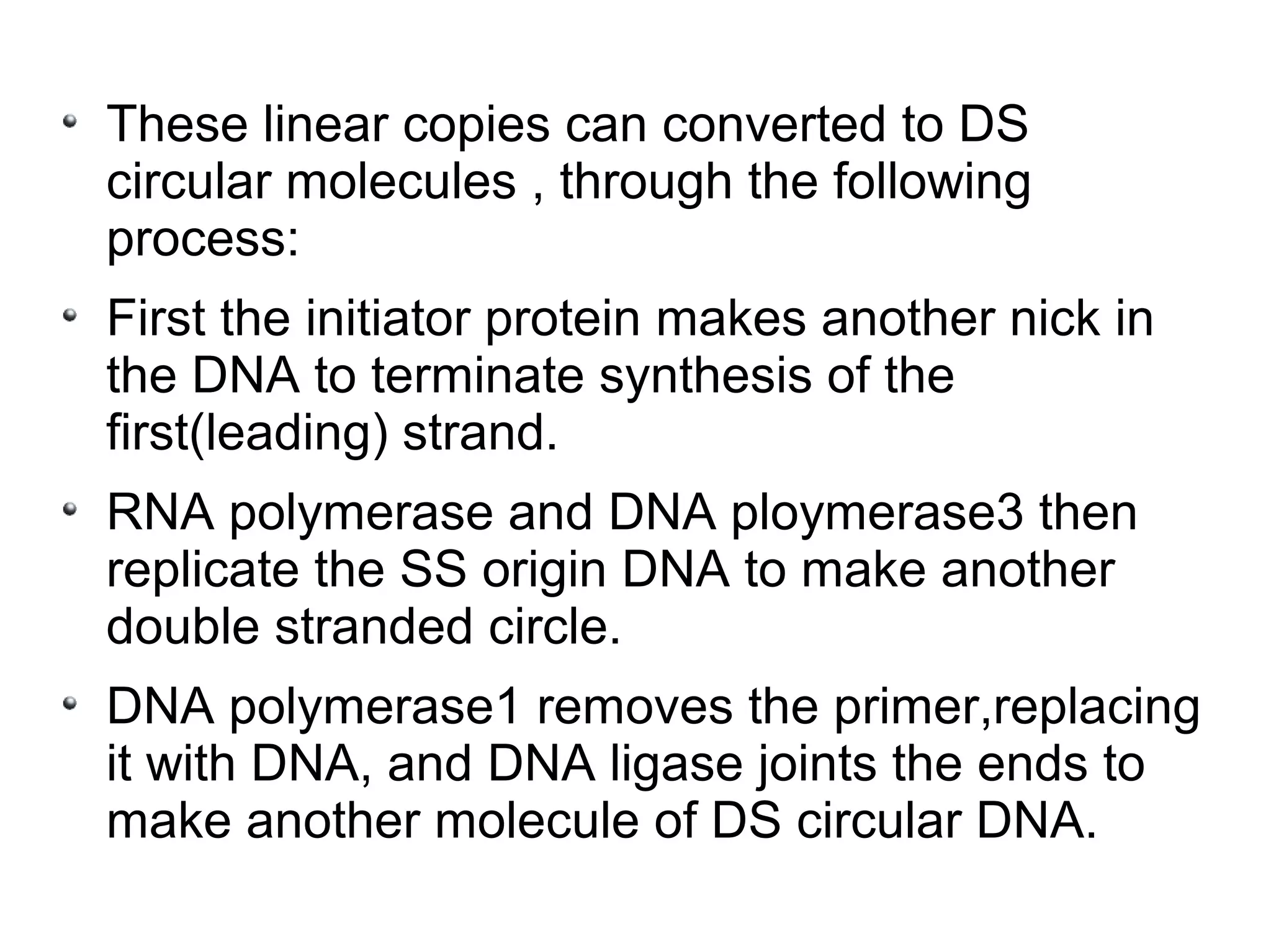 These linear copies can converted to DS
circular molecules , through the following
process:
First the initiator protein makes another nick in
the DNA to terminate synthesis of the
first(leading) strand.
RNA polymerase and DNA ploymerase3 then
replicate the SS origin DNA to make another
double stranded circle.
DNA polymerase1 removes the primer,replacing
it with DNA, and DNA ligase joints the ends to
make another molecule of DS circular DNA.
 