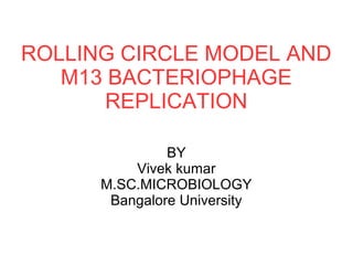 ROLLING CIRCLE MODEL AND
M13 BACTERIOPHAGE
REPLICATION
BY
Vivek kumar
M.SC.MICROBIOLOGY
Bangalore University
 