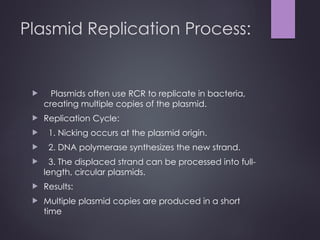 ROLLING CIRCLE REPLICATION MECHANISM.pptx