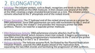 Comprehensive Overview of Rolling Circle Model of DNA Replication | PDF