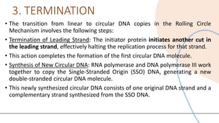 Comprehensive Overview of Rolling Circle Model of DNA Replication | PDF