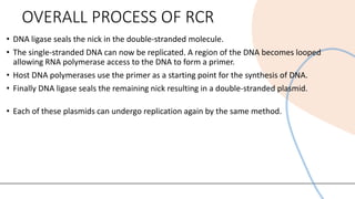 Comprehensive Overview of Rolling Circle Model of DNA Replication | PDF