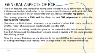 Rolling Rell Blood Line Comprehensive Overview of Rolling Circle Model of DNA Replication | PDF