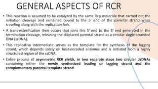 Comprehensive Overview of Rolling Circle Model of DNA Replication | PDF