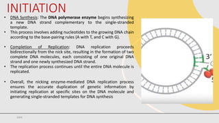 Comprehensive Overview of Rolling Circle Model of DNA Replication | PDF