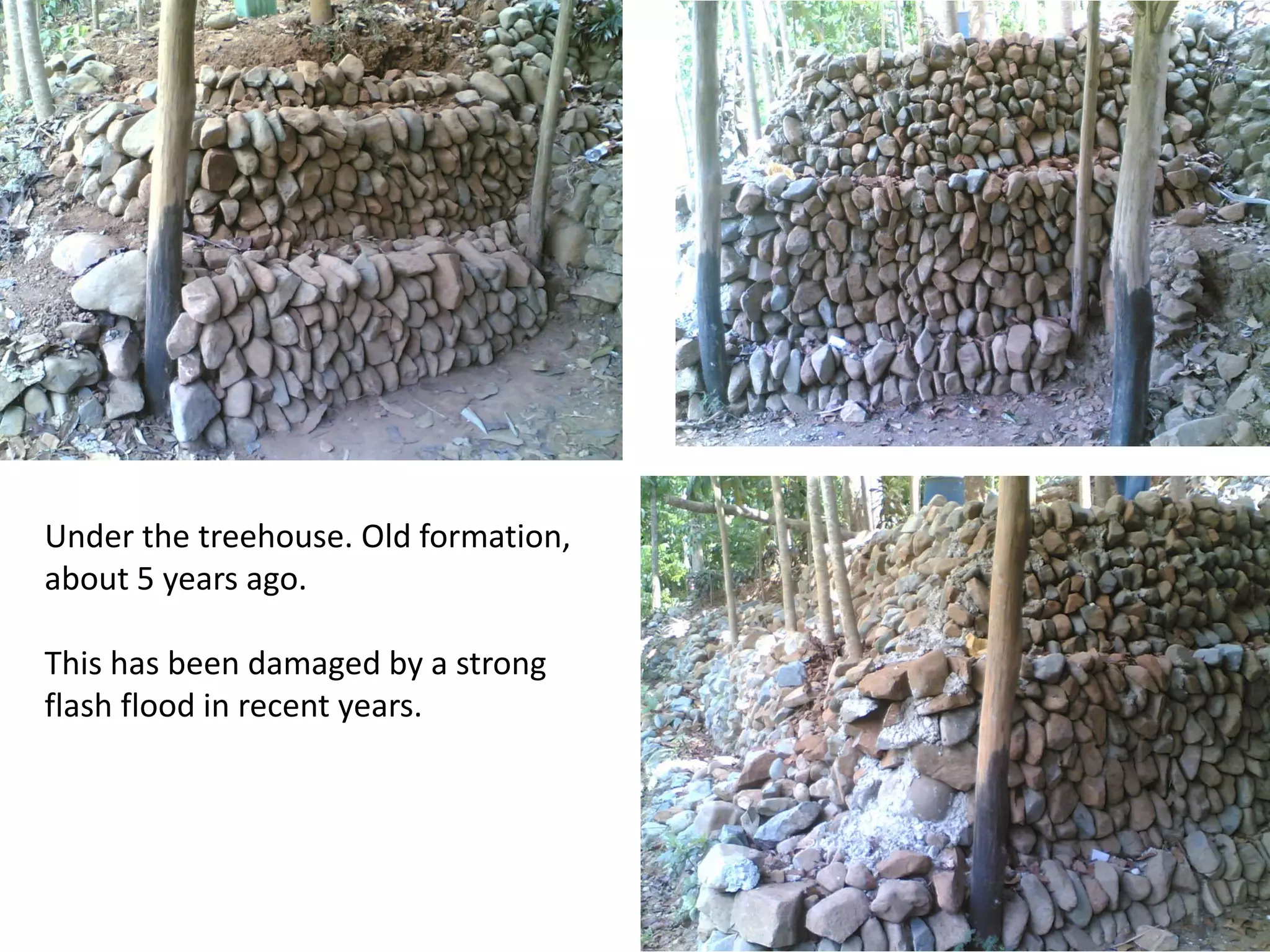 Under the treehouse. Old formation,
about 5 years ago.
This has been damaged by a strong
flash flood in recent years.
 