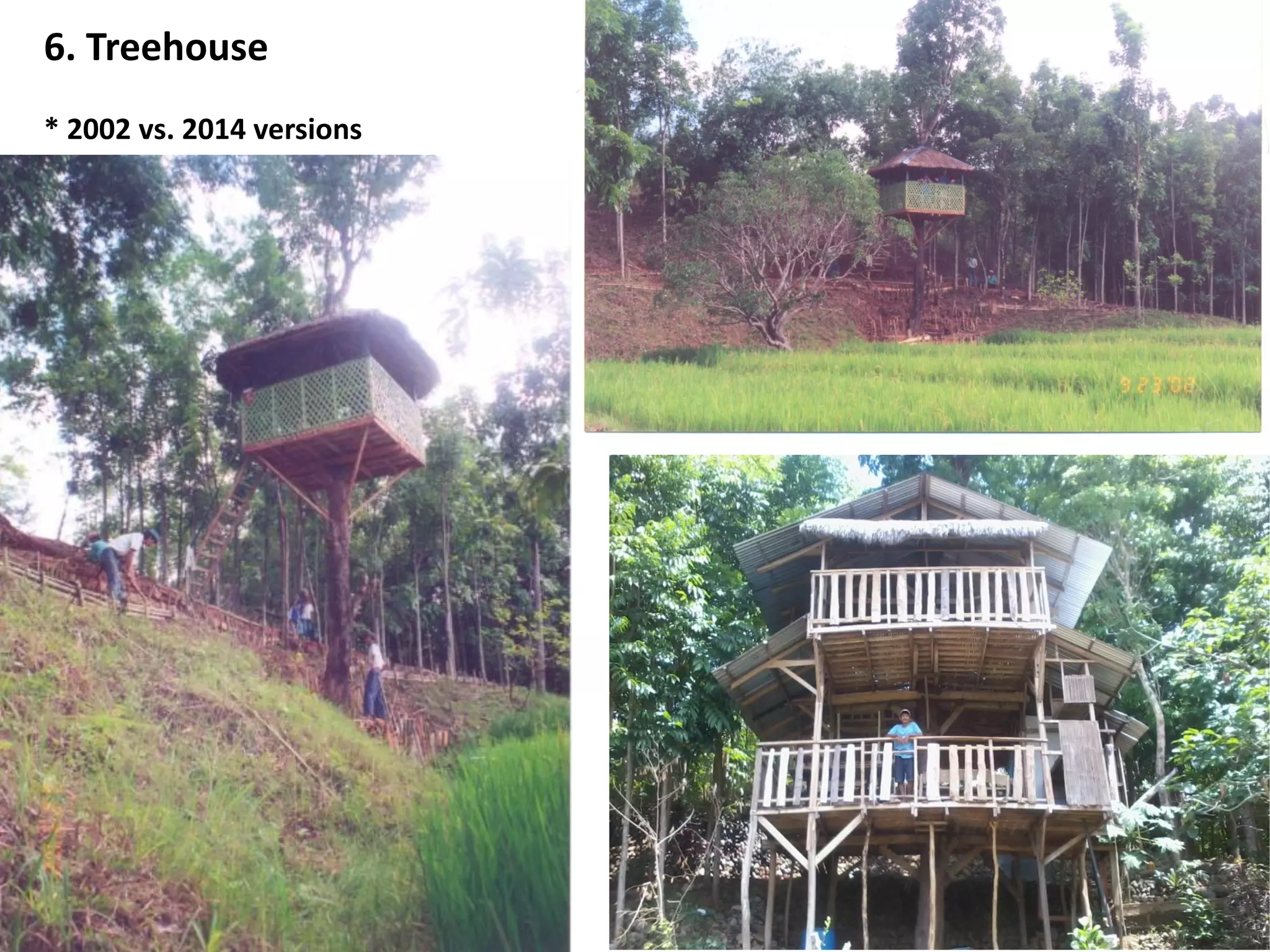 6. Treehouse
* 2002 vs. 2014 versions
 