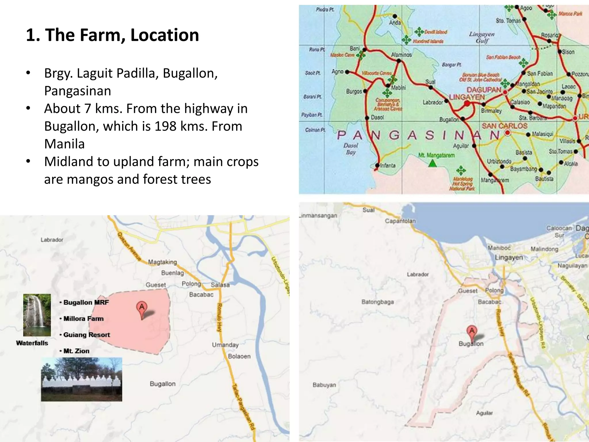 1. The Farm, Location
• Brgy. Laguit Padilla, Bugallon,
Pangasinan
• About 7 kms. From the highway in
Bugallon, which is 198 kms. From
Manila
• Midland to upland farm; main crops
are mangos and forest trees
 