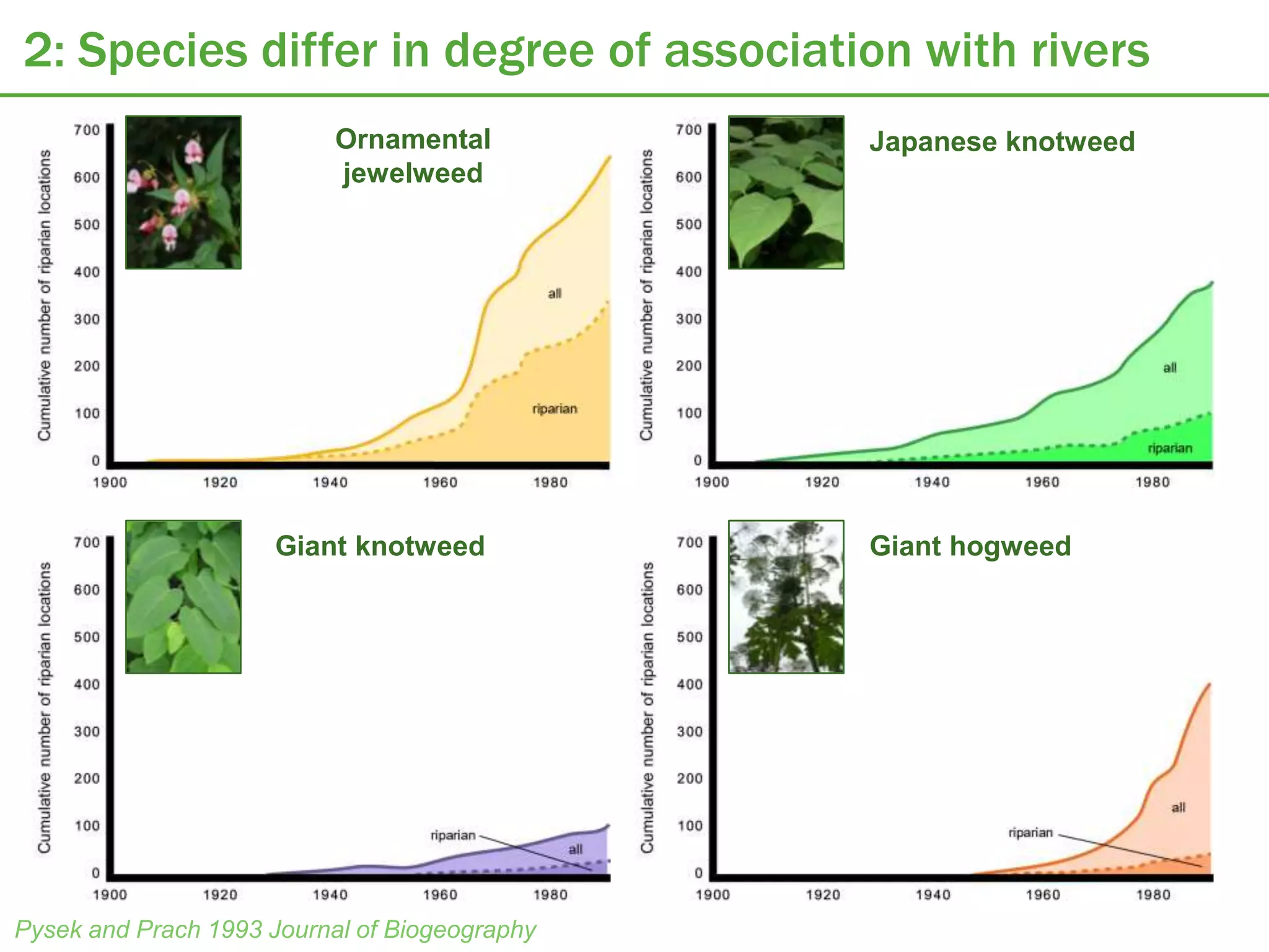 2: Species differ in degree of association with rivers
                           Ornamental          Japanese knotweed
                           jewelweed




                      Giant knotweed           Giant hogweed




Pysek and Prach 1993 Journal of Biogeography
 