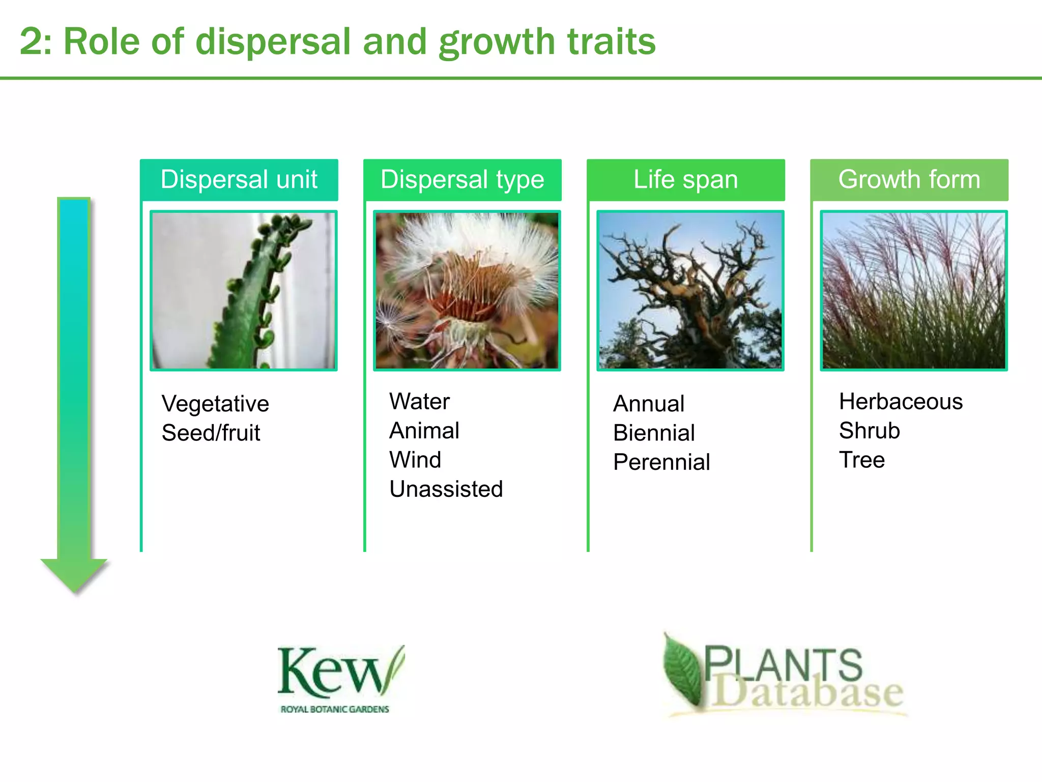 2: Role of dispersal and growth traits


        Dispersal unit   Dispersal type    Life span   Growth form




        Vegetative       Water            Annual       Herbaceous
        Seed/fruit       Animal           Biennial     Shrub
                         Wind             Perennial    Tree
                         Unassisted
 