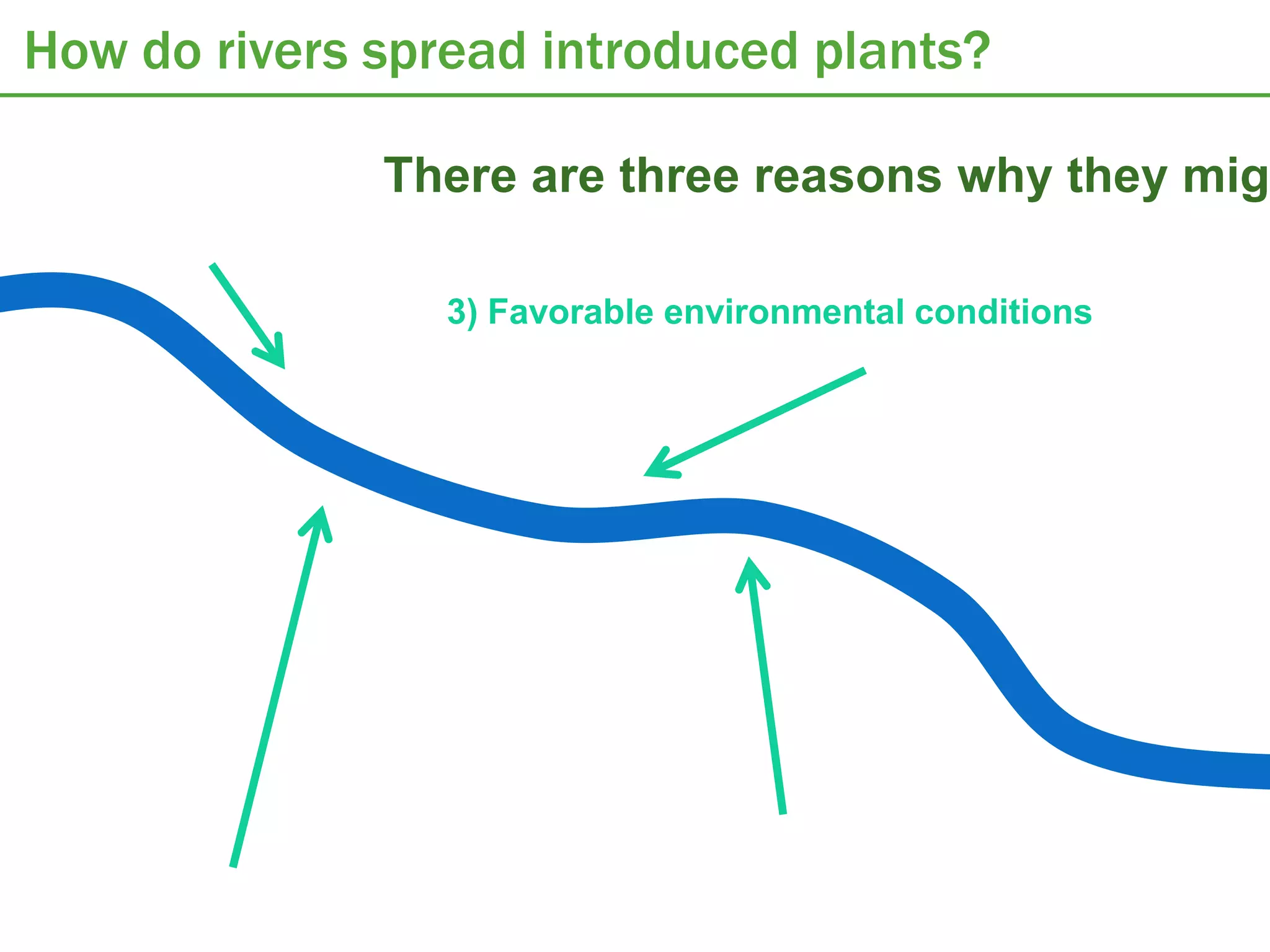 How do rivers spread introduced plants?

              There are three reasons why they migh

                 3) Favorable environmental conditions
 