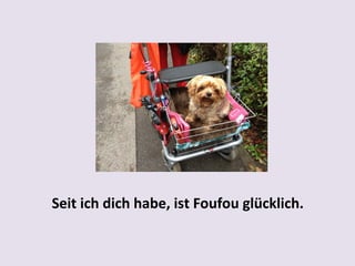 Seit ich dich habe, ist Foufou glücklich.

 