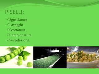 PISELLI:
Sgusciatura
Lavaggio
Scottatura
Campionatura
Surgelazione
 