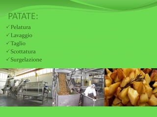 PATATE:
Pelatura
Lavaggio
Taglio
Scottatura
Surgelazione
 