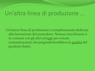 Un’altra linea di produzione …
Un’intera linea di produzione è completamente dedicata
alla lavorazione del pomodoro. Nessun macchinario è
in comune con gli altri ortaggi per evitare
contaminazioni che pregiudicherebbero la qualità del
prodotto finito.
 