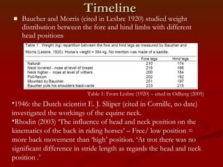 Timeline Baucher and Morris (cited in Lesbre 1920) studied weight distribution between the fore and hind limbs with different head positions 1946: the Dutch scientist E. J. Slijper (cited in Cornille, no date) investigated the workings of the equine neck. Rhodin (2003) ‘ The influence of head and neck position on the kinematics of the back in riding horses’ – Free/ low position = more back movement than ‘high’ position. ‘At trot there was no significant difference in stride length as regards the head and neck position .’ Table 1: From Lesbre (1920) – cited in Odberg (2005) 