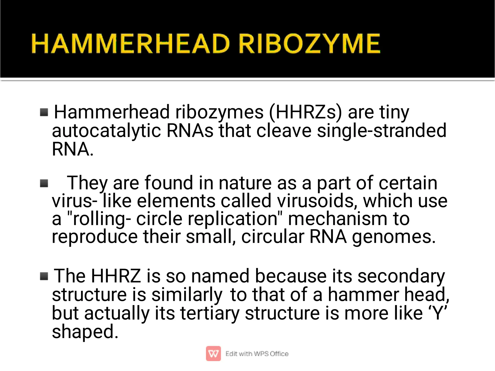 ◾
◾
◾
Hammerhead ribozymes (HHRZs) are tiny
autocatalytic RNAs that cleave single-stranded
RNA.
They are found in nature as a part of certain
virus- like elements called virusoids, which use
a "rolling- circle replication" mechanism to
reproduce their small, circular RNA genomes.
The HHRZ is so named because its secondary
structure is similarly to that of a hammer head,
but actually its tertiary structure is more like ‘Y’
shaped.
 