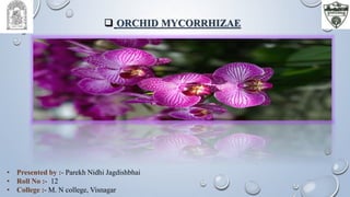  ORCHID MYCORRHIZAE
• Presented by :- Parekh Nidhi Jagdishbhai
• Roll No :- 12
• College :- M. N college, Visnagar
 