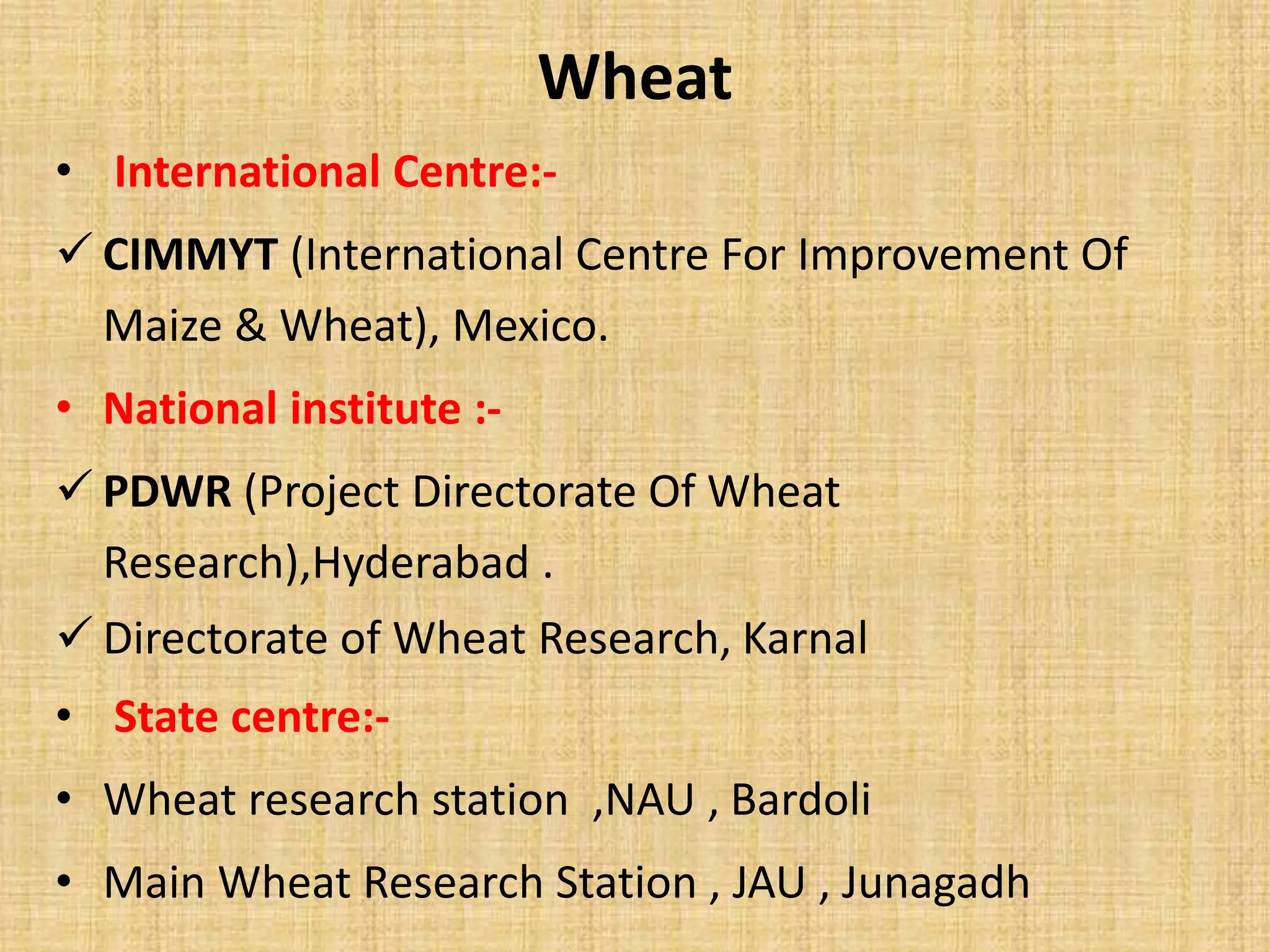 Wheat 
• International Centre:- 
 CIMMYT (International Centre For Improvement Of 
Maize & Wheat), Mexico. 
• National institute :- 
 PDWR (Project Directorate Of Wheat 
Research),Hyderabad . 
 Directorate of Wheat Research, Karnal 
• State centre:- 
• Wheat research station ,NAU , Bardoli 
• Main Wheat Research Station , JAU , Junagadh 
 