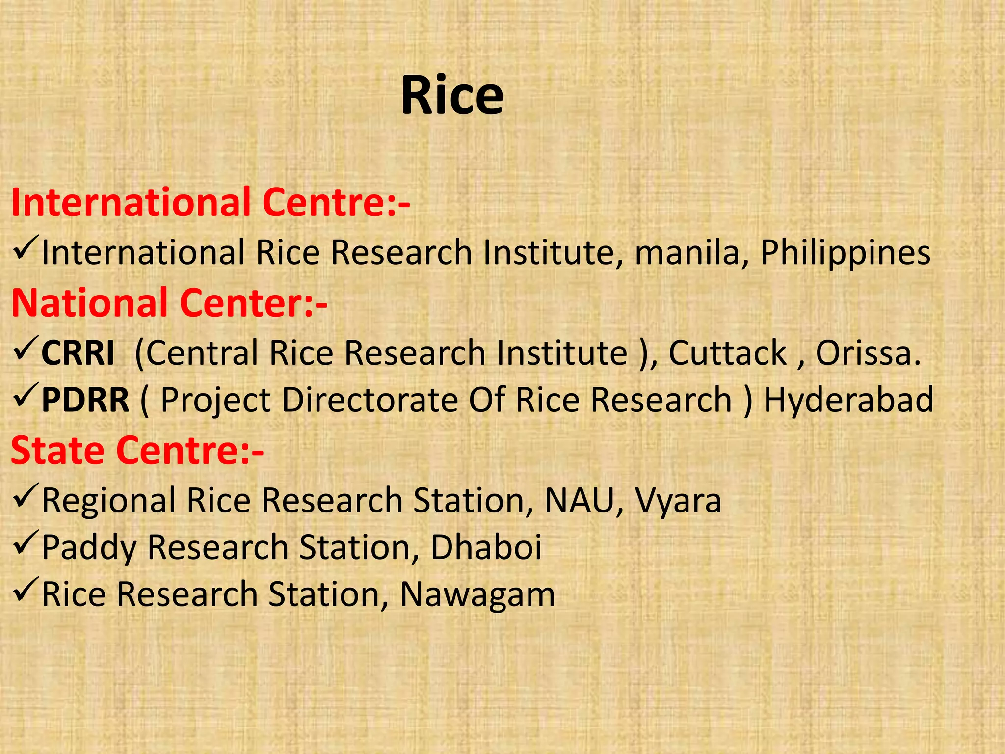 Rice 
International Centre:- 
International Rice Research Institute, manila, Philippines 
National Center:- 
CRRI (Central Rice Research Institute ), Cuttack , Orissa. 
PDRR ( Project Directorate Of Rice Research ) Hyderabad 
State Centre:- 
Regional Rice Research Station, NAU, Vyara 
Paddy Research Station, Dhaboi 
Rice Research Station, Nawagam 
 