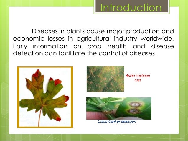 Plant Disease Detection Using I.T.