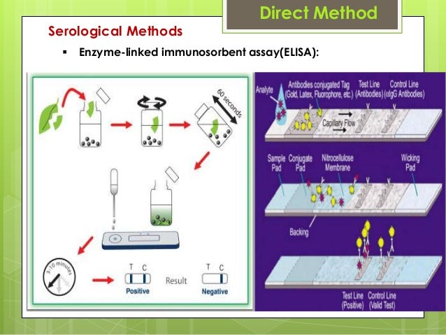 plant-disease-detection-using-i-t