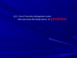Q.2 – Liver Converts nitrogenous waste
into urea from the break down of proteins
 