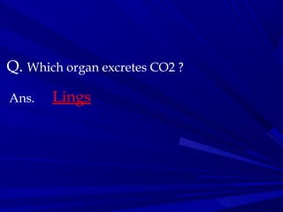 Q. Which organ excretes CO2 ?
Ans. Lings
 