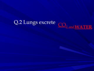 Q.2 Lungs excrete
CO2 and WATER
 