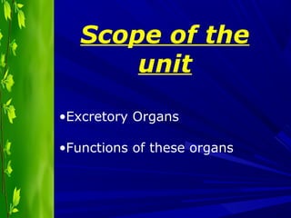 Scope of the
unit
•Excretory Organs
•Functions of these organs
 