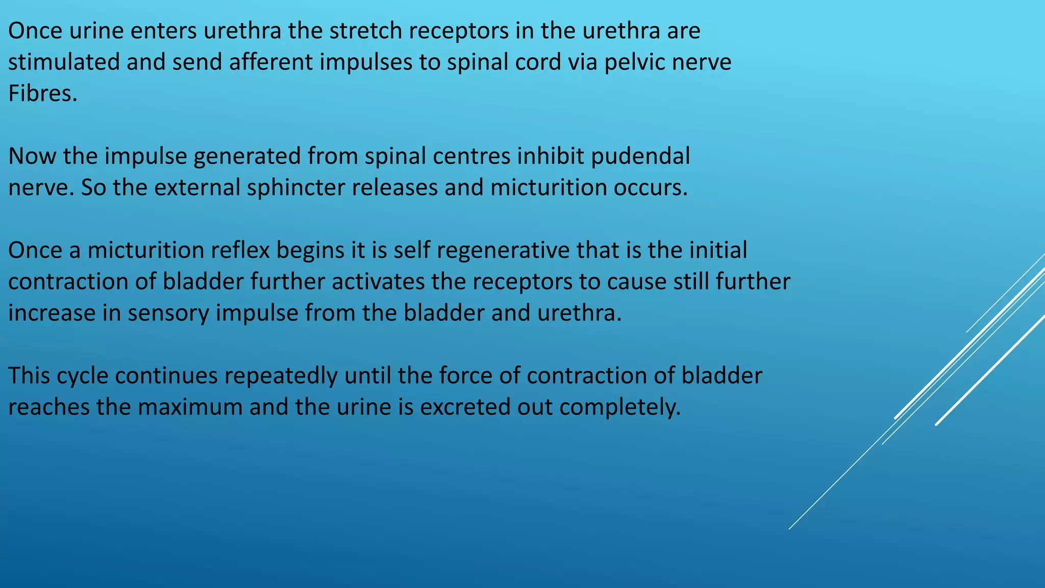 micturition reflex | PPTX